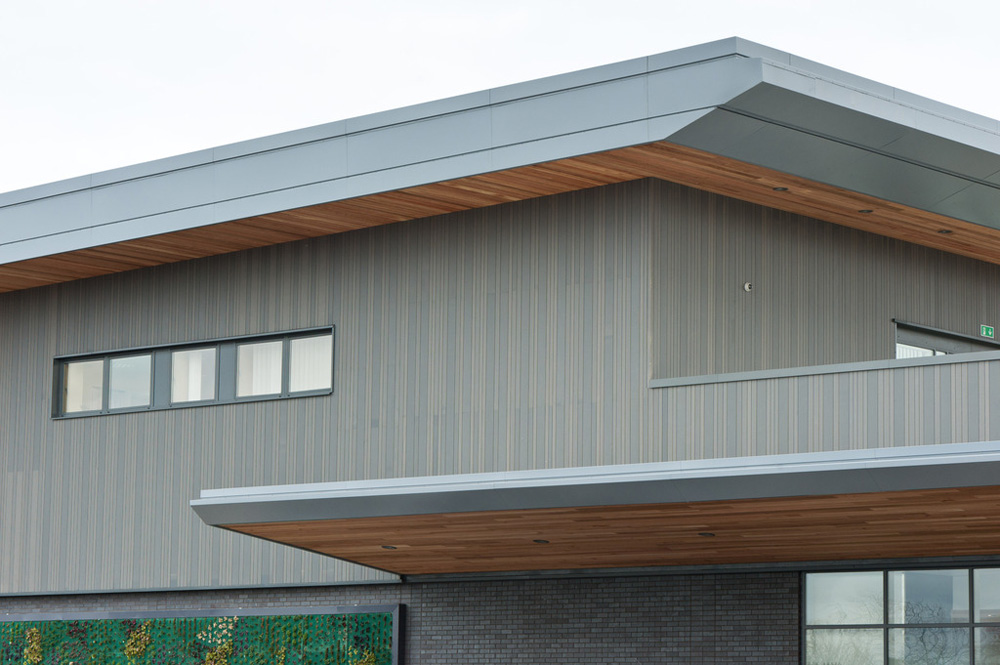 Accoya