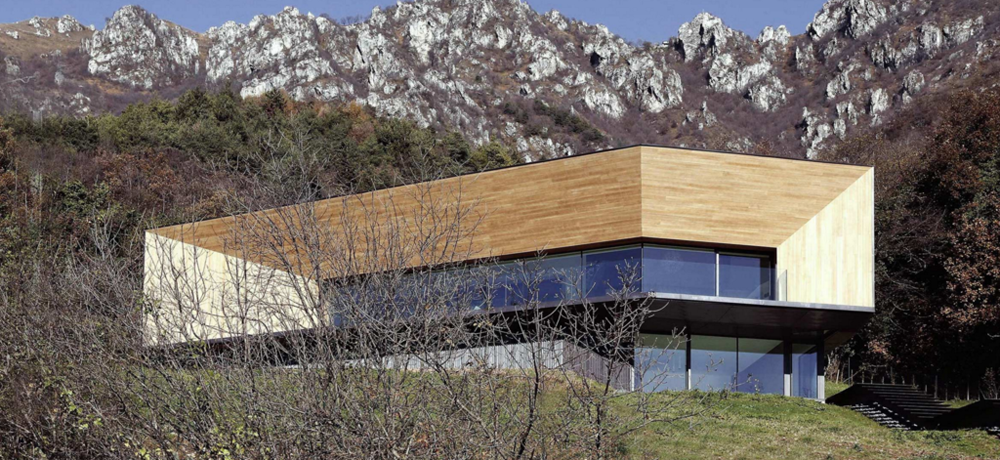 Accoya