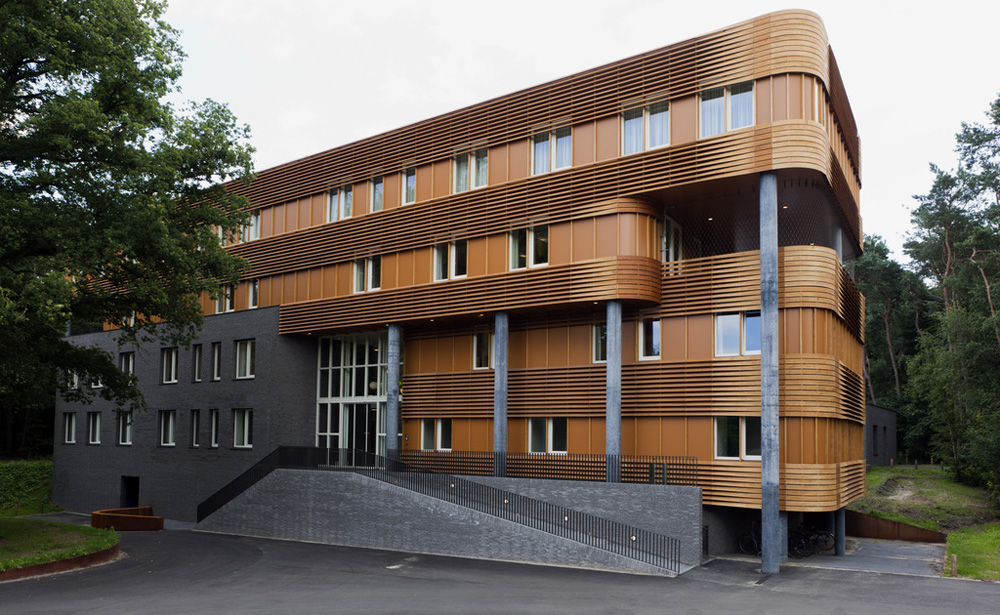 Accoya
