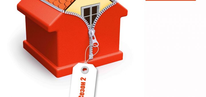 Roefix Leading Image Game