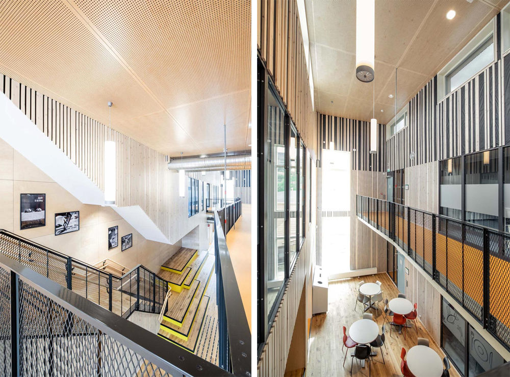 The-New-Evjen-School