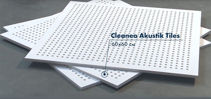 Cleaneo