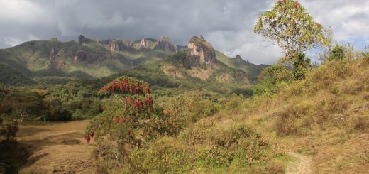harenna forest