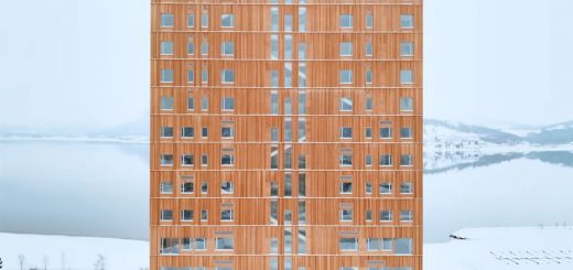 Tallest Timber