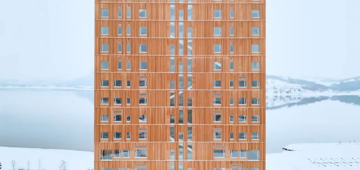 Tallest Timber