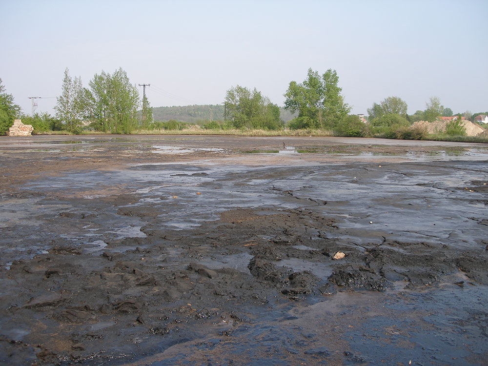 soil