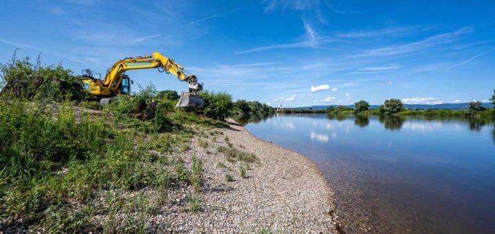 picture alliance/dpa | Armin Weigel