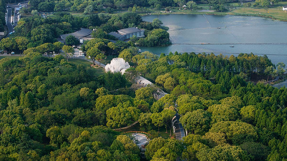 Emerald Screen Pergola
