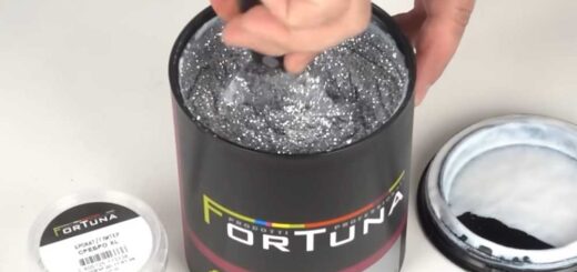 Fortuna